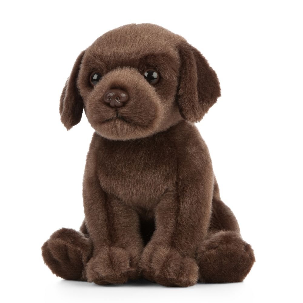 Naturtrogen labradorvalp – 18 cm, från nyfödd - Väderstads Leksaker