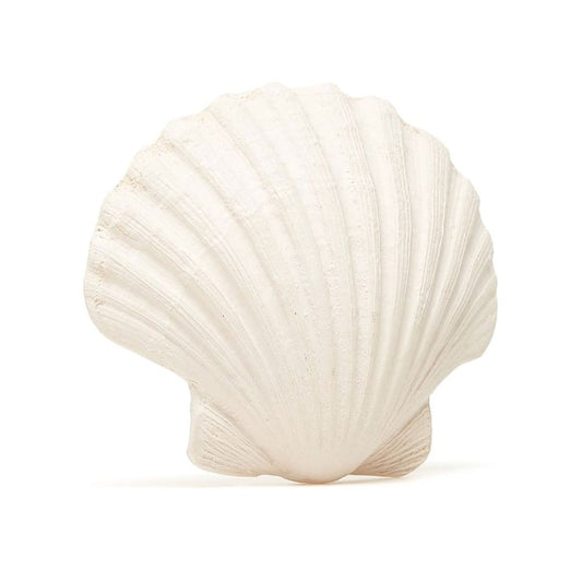 Bitleksak Concha för spädbarn - Väderstads Leksaker