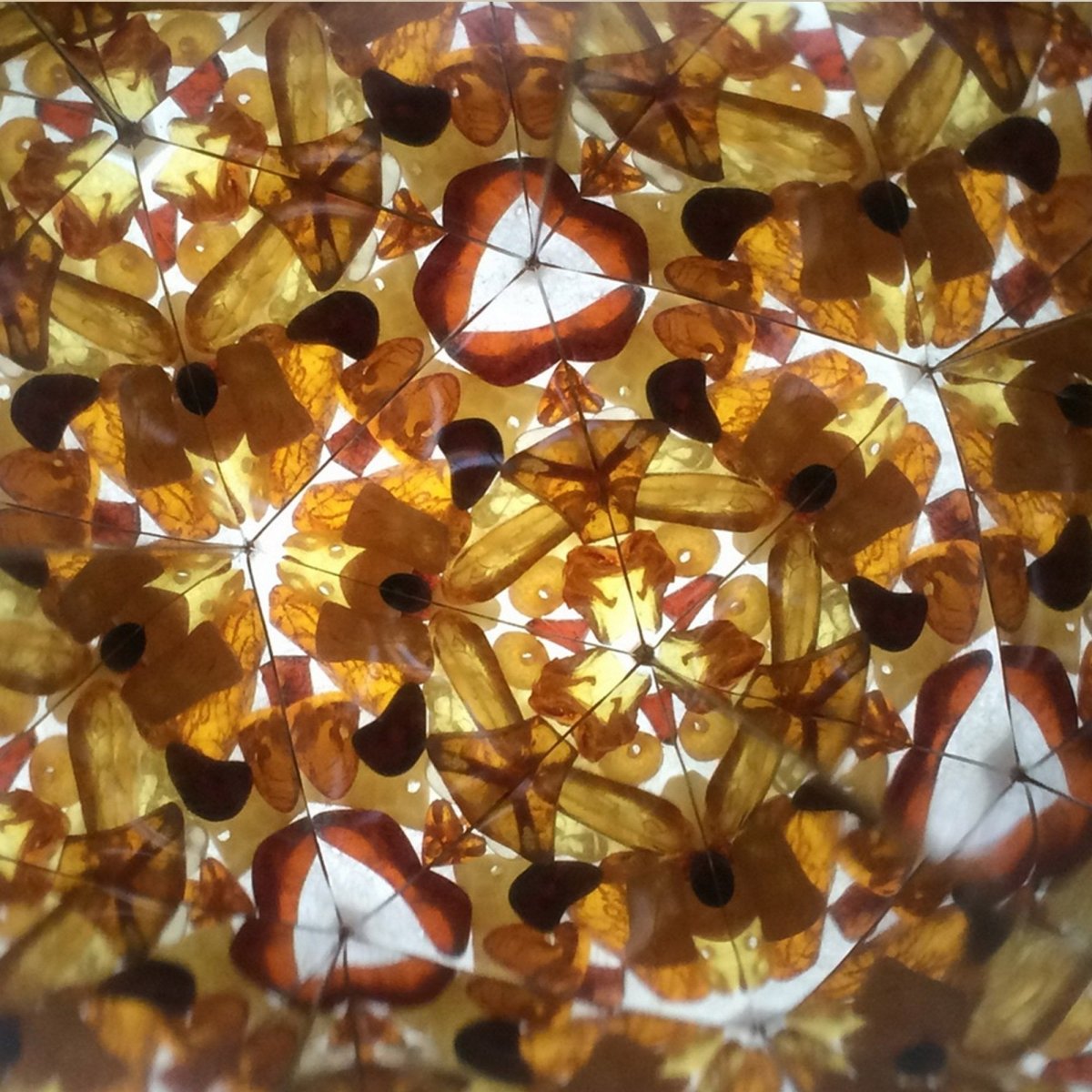 Kaleidoskop i hasselnötsgren med bärnsten – handgjort i Litauen - Väderstads Leksaker